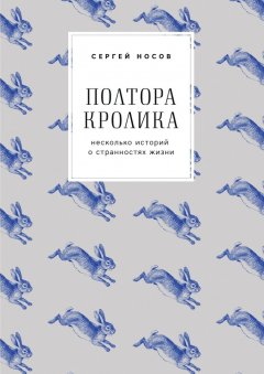 Сергей Носов - Полтора кролика. Несколько историй о странностях жизни