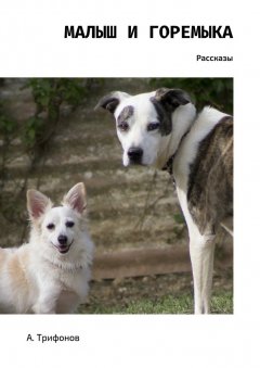 А. Трифонов - Малыш и Горемыка. Рассказы