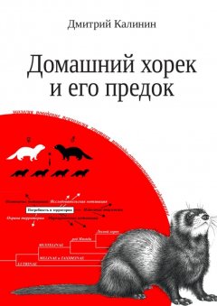 Дмитрий Калинин - Домашний хорек и его предок