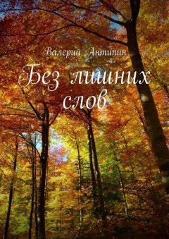 Валерий Антипин - Без лишних слов