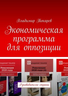 Владимир Токарев - Экономическая программа для оппозиции. Руководителю страны