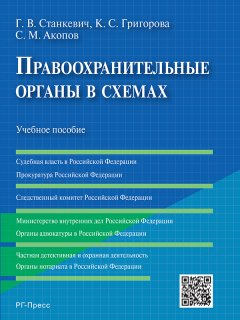 Сурен Акопов - Правоохранительные органы в схемах. Учебное пособие