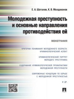 Евгений Шаталов - Молодежная преступность и основные направления противодействия ей. Монография