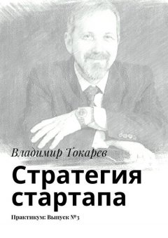 Владимир Токарев - Стратегия стартапа. Практикум: Выпуск №3
