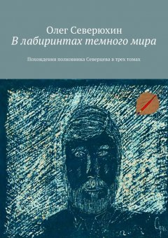 Олег Северюхин - В лабиринтах темного мира. Похождения полковника Северцева в трех томах