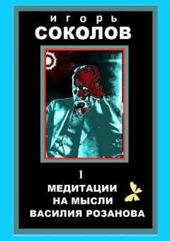 Игорь Соколов - Медитации на мысли Василия Розанова. Том 1