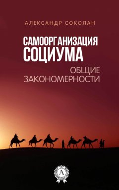 Александр Соколан - Самоорганизация социума. Общие закономерности