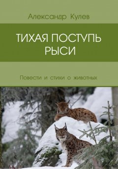 Александр Кулев - Тихая поступь рыси (сборник)