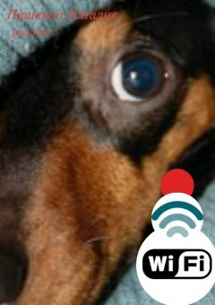 Наталия Пащенко - Wi-Fi