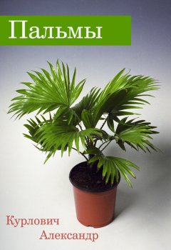 Александр Курлович - Пальмы