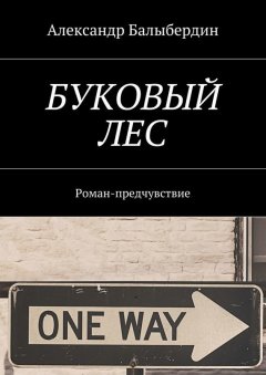 Александр Балыбердин - Буковый лес. Роман-предчувствие