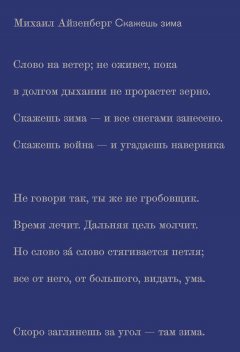 Михаил Айзенберг - Скажешь зима