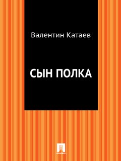 Валентин Катаев - Сын полка