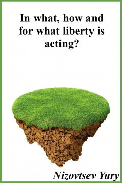 Юрий Низовцев - In what, how and for what liberty is acting?