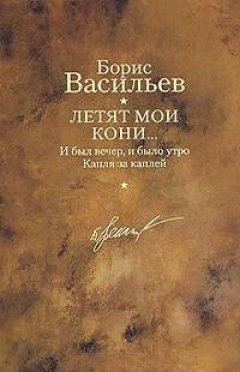 Борис Васильев - И был вечер, и было утро