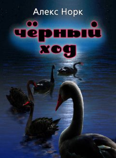 Алекс Норк - Черный ход