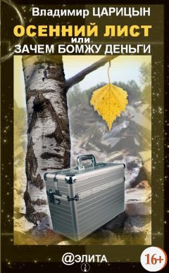 Владимир Царицын - Осенний лист, или Зачем бомжу деньги