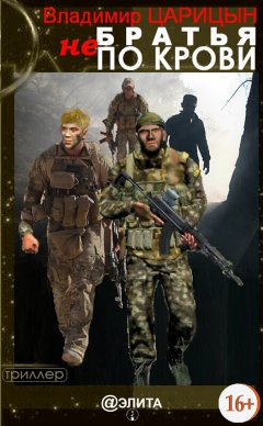 Владимир Царицын - Братья не по крови