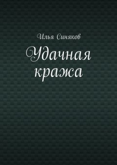 Илья Синяков - Удачная кража