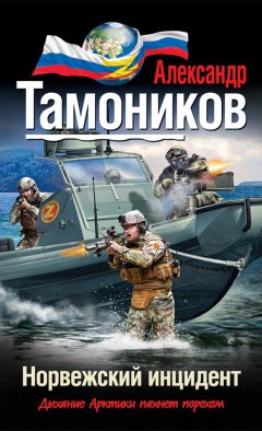 Александр Тамоников - Норвежский инцидент