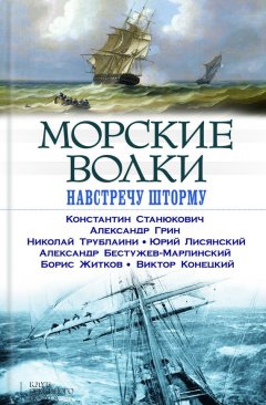 Александр Бестужев-Марлинский - Морские волки. Навстречу шторму (сборник)