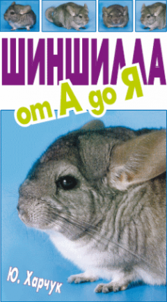Юрий Харчук - Шиншилла от А до Я