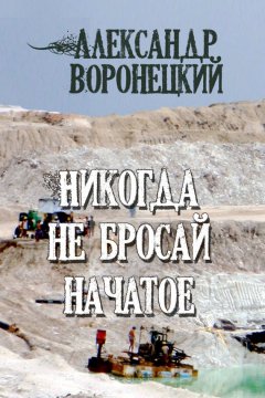 Александр Воронецкий - Никогда не бросай начатое