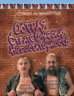 Анатолий Вассерман - Острая стратегическая недостаточность. Страна на переПутье