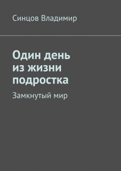 Владимир Синцов - Один день из жизни подростка. Замкнутый мир