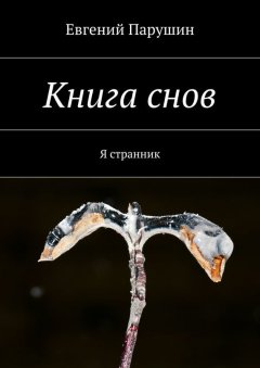 Евгений Парушин - Книга снов