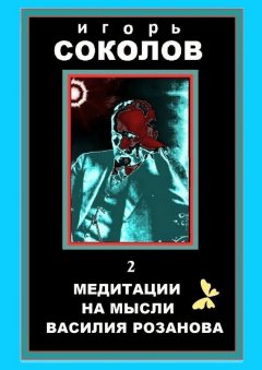Игорь Соколов - Медитации на мысли Василия Розанова. том 2