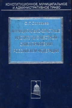 Сергей Соловьев - Муниципально-властные институты в местном самоуправлении Российской Федерации