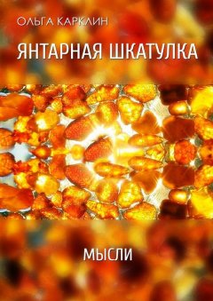 Ольга Карклин - Янтарная шкатулка