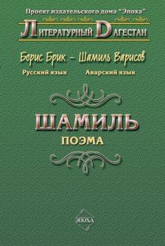 Борис Брик - Шамиль