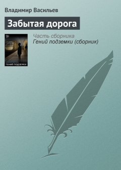 Владимир Васильев - Забытая дорога