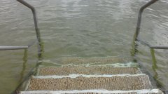 Дмитрий Коробков - Записки из больничной палаты