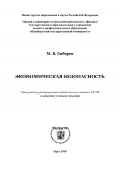 Михаил Зибарев - Экономическая безопасность