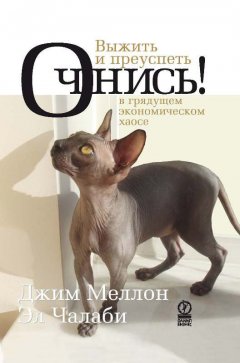 Джим Меллон - Очнись! Выжить и преуспеть в грядущем экономическом хаосе