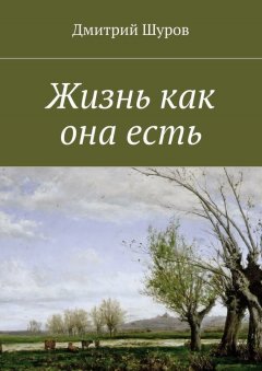 Дмитрий Шуров - Жизнь как она есть