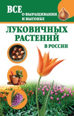 Татьяна Литвинова - Все о выращивании и выгонке луковичных растений в России