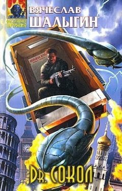 Вячеслав Шалыгин - Dr.Сокол
