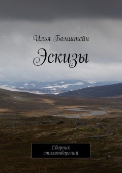 Илья Бомштейн - Эскизы