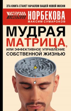 Максим Сумароков - Мудрая матрица, или Эффективное управление собственной жизнью