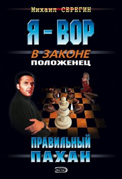 Михаил Серегин - Правильный пахан