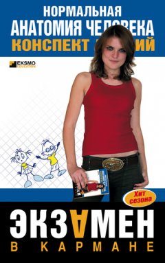 М. Яковлев - Нормальная анатомия человека: конспект лекций
