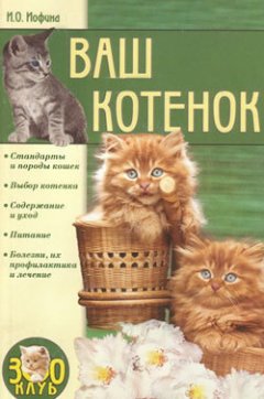 Ирина Иофина - Ваш котенок