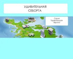 Наталья Ильина - Удивительная Себорга