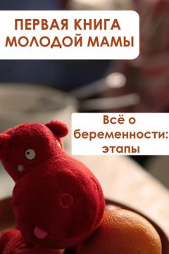 Илья Мельников - Всё о беременности: этапы