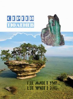 Сергей Тюленев - Где живет ум