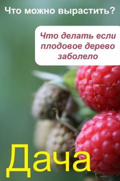 Илья Мельников - Что можно вырастить? Что делать, если плодовое дерево заболело